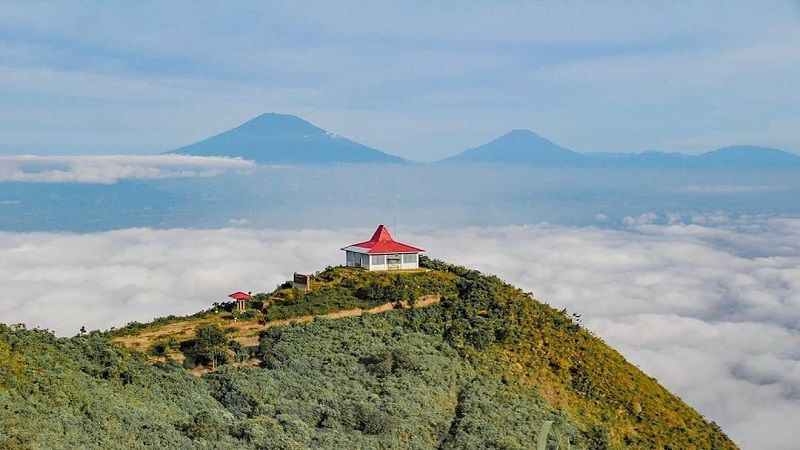 Gunung Andong, Wisata Magelang Cocok untuk Pendaki Pemula, Nikmati Camping di Samudra Awan