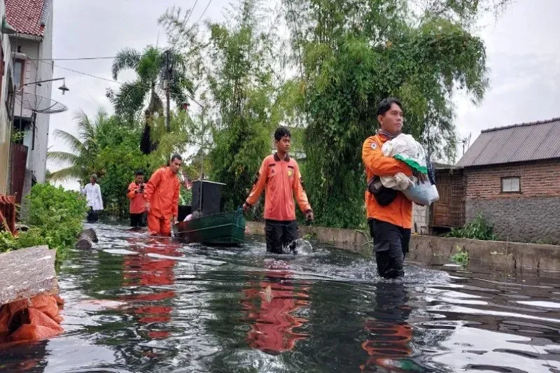 Petugas BPBD Kota Pekalongan, Jateng, sedang membantu warga terdampak banjir dengan mengamankan barang ke lokasi yang aman, Sabtu, 31 Desember 2022. FOTO ANTARA HO-Humas Kota Pekalongan
