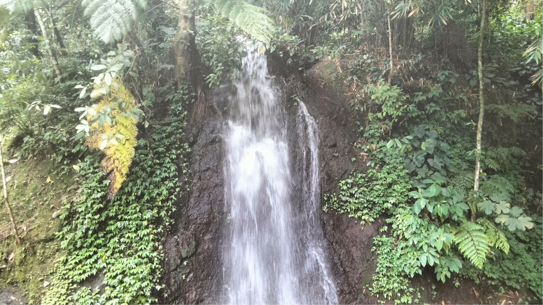 Testimoni wisatawan setelah datang ke objek wisata Curug Cipeuteuy Majalengka