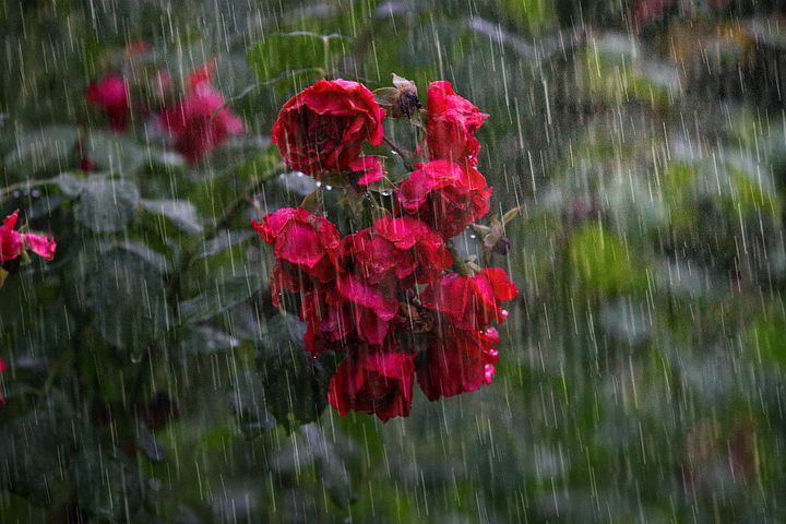 BMKG Hari Ini, Prakiraan Cuaca Pemalang, Selasa 21 Maret 2023, Pagi Sore Malam Berawan, Siang Hari Hujan.