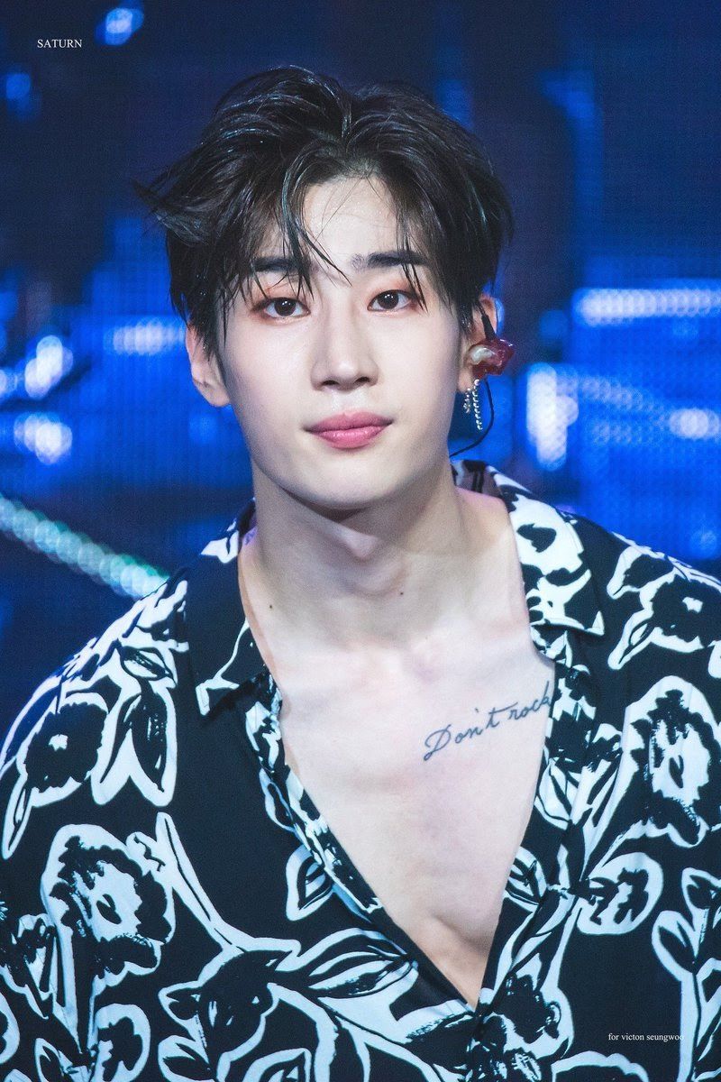 Seungwoo (VICTON)