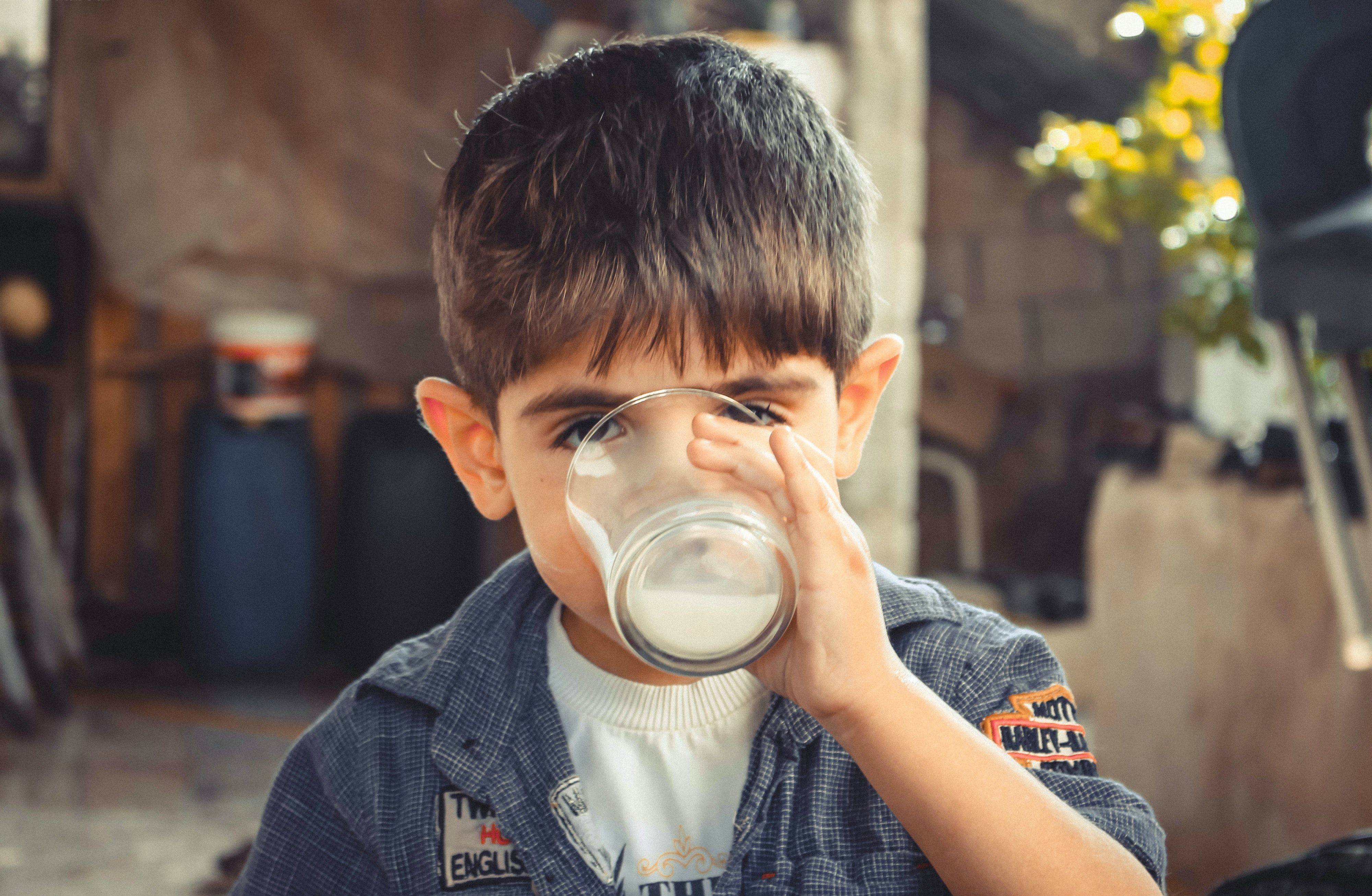 Ilustrasi seorang anak minum susu 