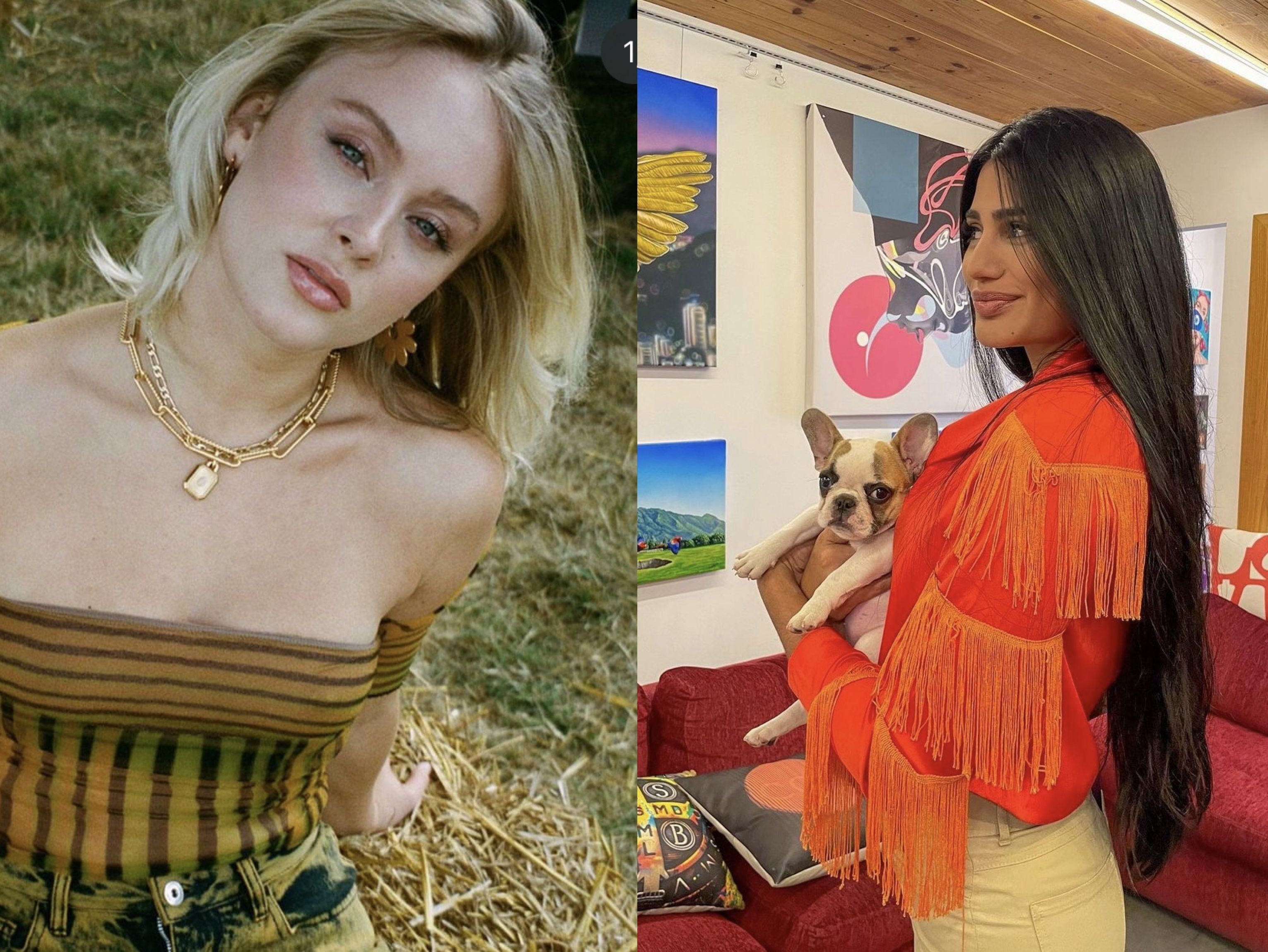 Inilah 5 negara penghasil wanita cantik di dunia (Instagram @zaralarsson dan @stefanyguiterrez1)