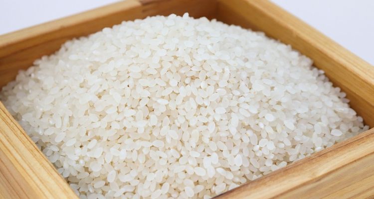 Bansos pangan berupa beras gratis dikabarkan segera cair untuk masyarakat berikut, cek penjelasan lengkapnya di sini.