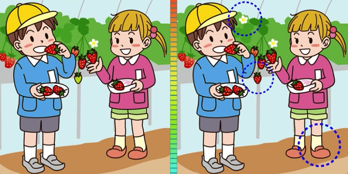 Letak perbedaan gambar bocah makan stroberi.