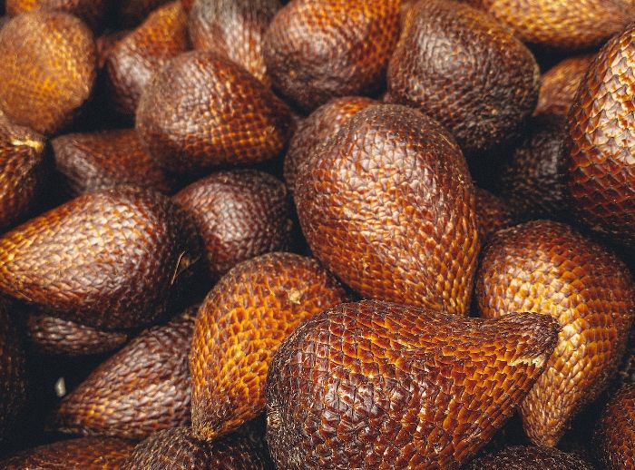 Kulit salak pondoh yang memiliki manfaat besar sebagai obat kanker lidah