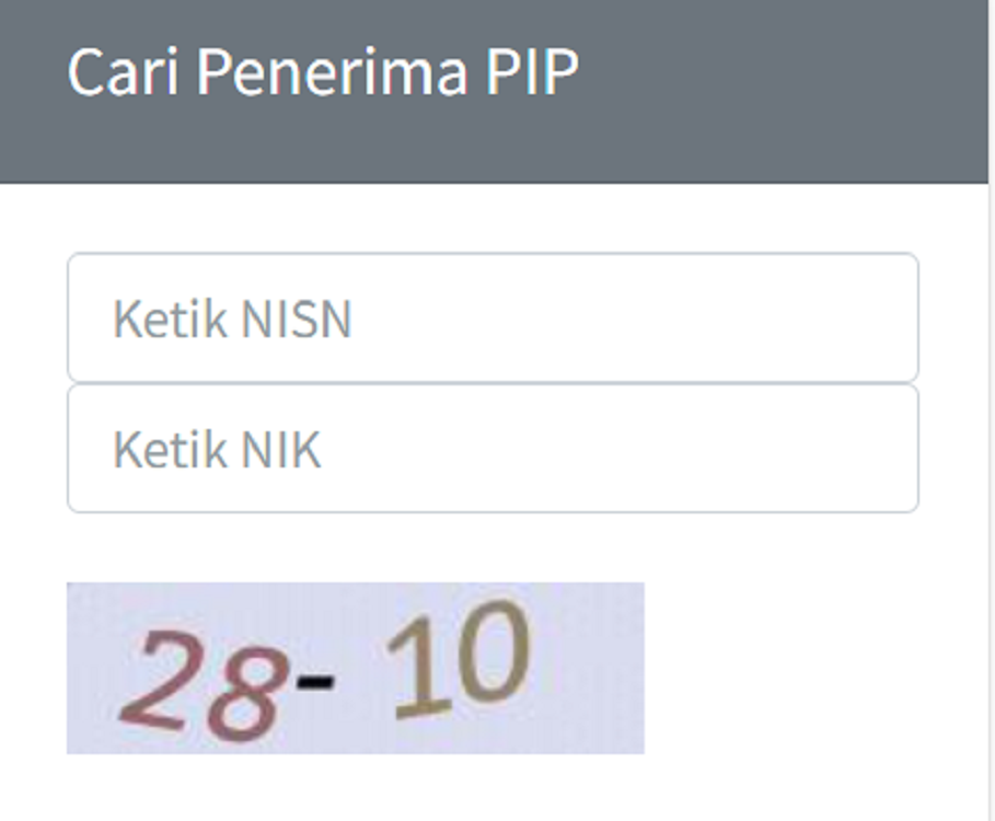 Input NISN dan NIK KTP via pip.kemdikbud.go.id, Cara Cek Penerima PIP Kemdikbud 2023