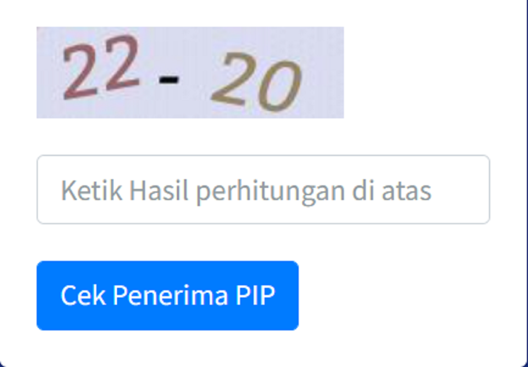 Ketikkan NISN dan NIK KTP ke pip.kemdikbud.go.id, Cek Penerima PIP Kemdikbud 2023 Online