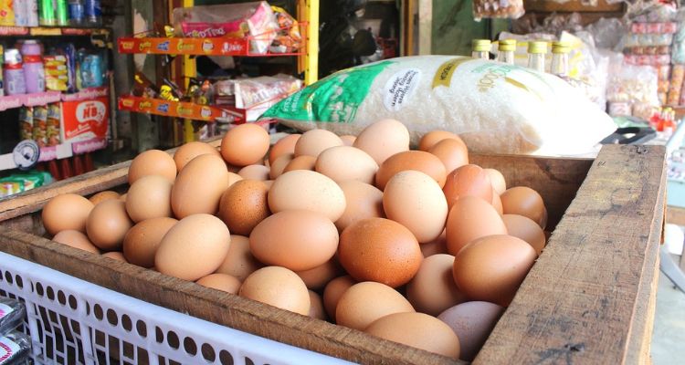 Simak informasi terkait bansos pangan berupa beras, daging dan telur yang disalurkan selama Ramadhan 2023.