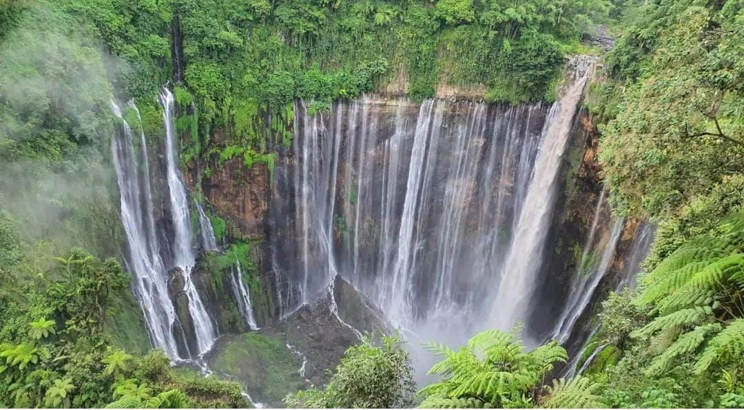 5 Rekomendasi Tempat Wisata di Lumajang Paling Menarik Untuk Dikunjungi, Cocok Untuk Healing