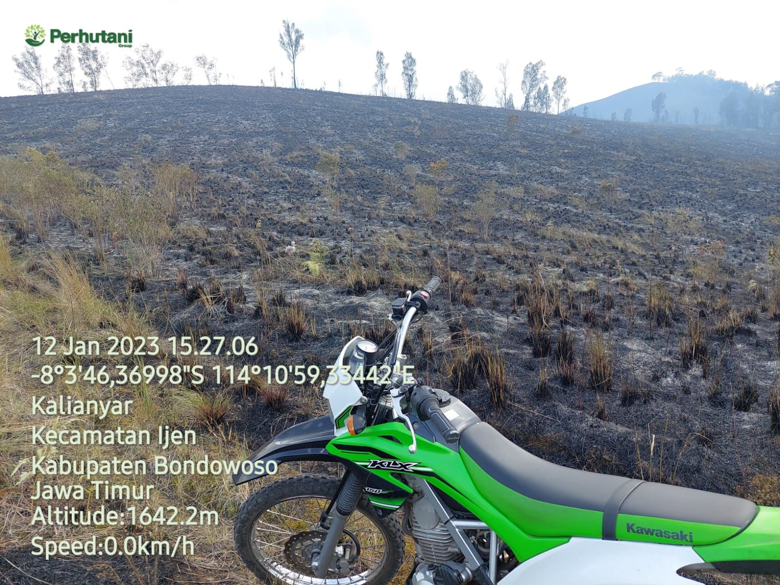 Hutan Terbakar di Gunung Ijen, KPH Perhutani Bondowoso.