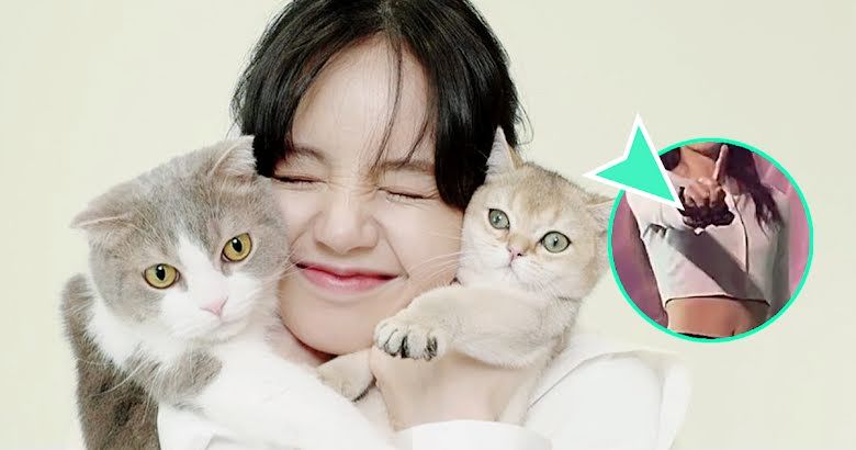 Lisa BLACKPINK ternyata sangat protektif terhadap kucing peliharaannya.*  
