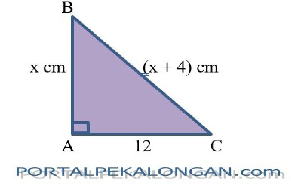 Ayo Berlatih 10 Latihan Soal Ulangan Harian Matematika: Pythagoras ...