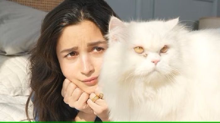 Alia Bhatt dengan kucing peliharaannya Edward di foto baru.*  