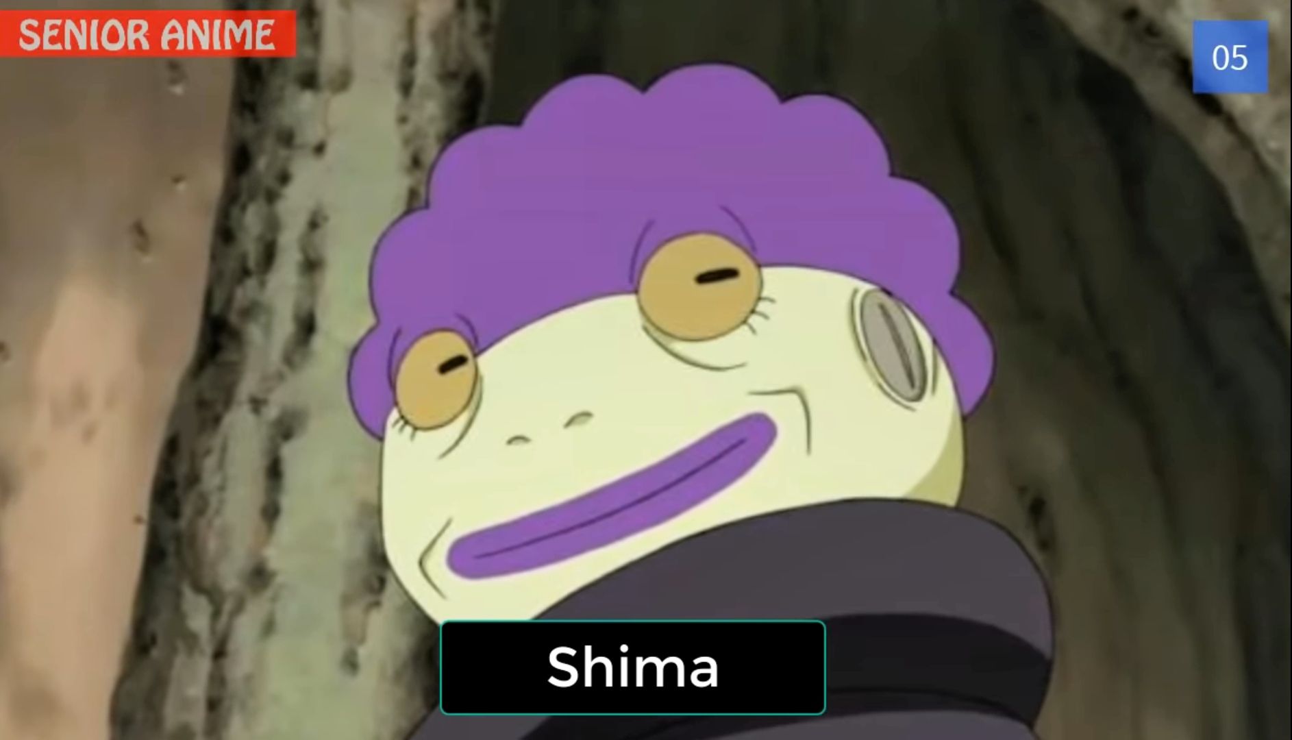 13 Karakter dan Shinobi Pengguna Jurus Sage Mode di Naruto dan Boruto, Karakter Hebat Dengan Kekuatan Alam