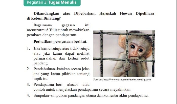 Kunci jawaban halaman 141 142 Bahasa Indonesia Kelas 9, berjudul 'Dikandangkan atau Dibebaskan, Haruskah Hewan Dipelihara di Kebun Binatang?'