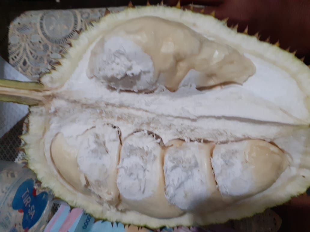 Salah satu durian lokal Banyumas yang tersedia di Durian Jamil