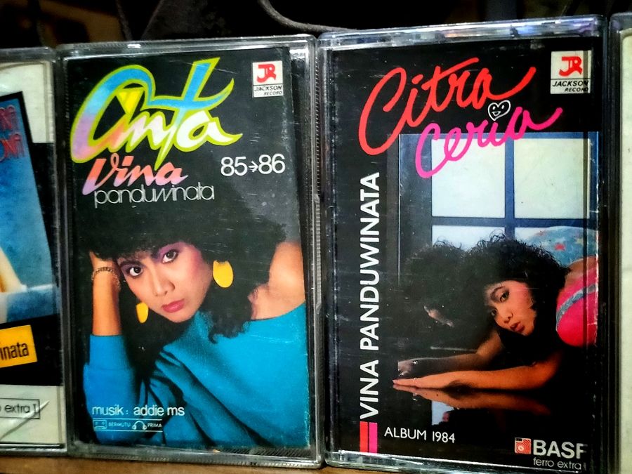 Dua dari album rekaman Vina Panduwinata yang dirilis melalui Kaset pita dari tahun 1981 hingga 2019