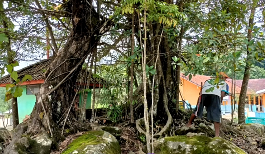 Kumpulan pohon keramat pada situs Nyi Mas Dewi Maya Maya, di Cisitu, Sumedang, diharapkan memberi manfaat lingkungan. 