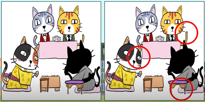 Letak perbedaan pada gambar kucing.