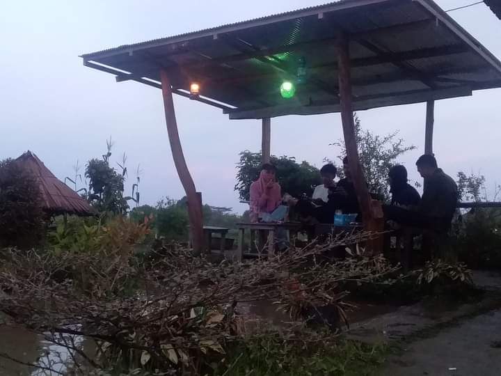 Cafe Sawah di Baturapa Bulukumba