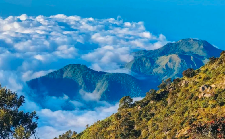 Gunung Lawu via Cemoro Seweu yang memiliki panorama alam masih asri. 