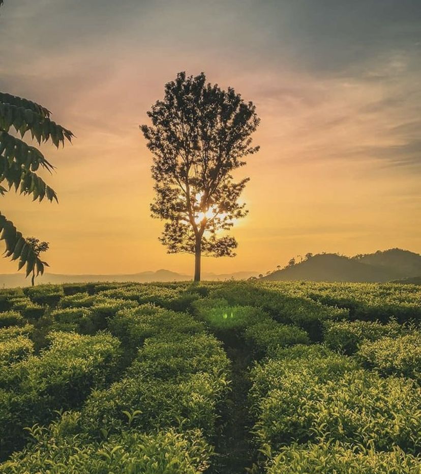5 Rekomendasi Tempat Wisata di Subang Paling Hits dan Instagramable, Cocok Buat Liburan! 
