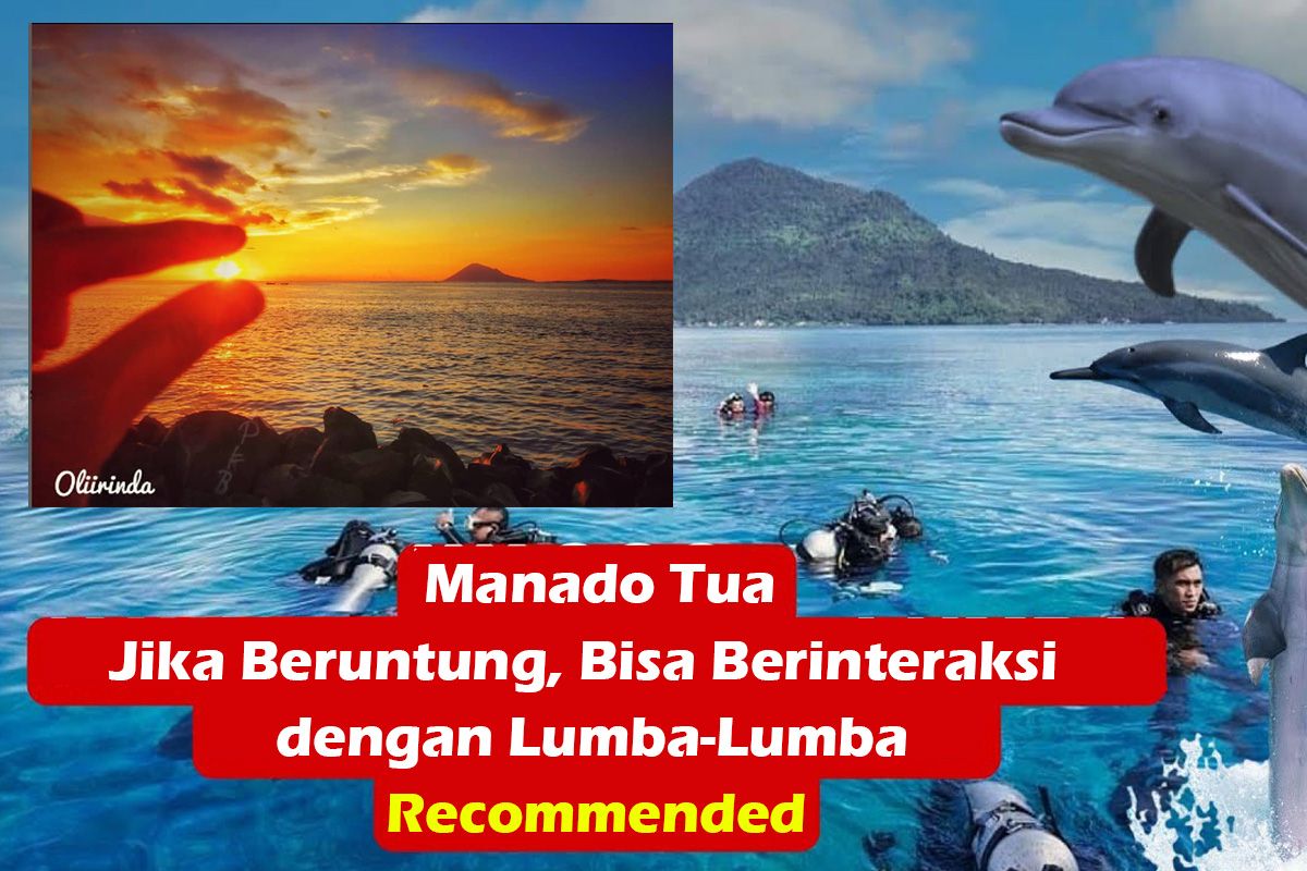 Kawasan pantai Manado Tua dikabarkan bisa berinteraksi dengan kawanan Lumba-Lumba.