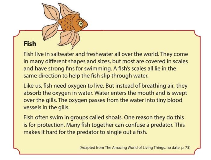 LENGKAP dengan Arti! Kunci Jawaban Bahasa Inggris Kelas 9 Halaman 176 Analyzing Fish Texts Chapter 9