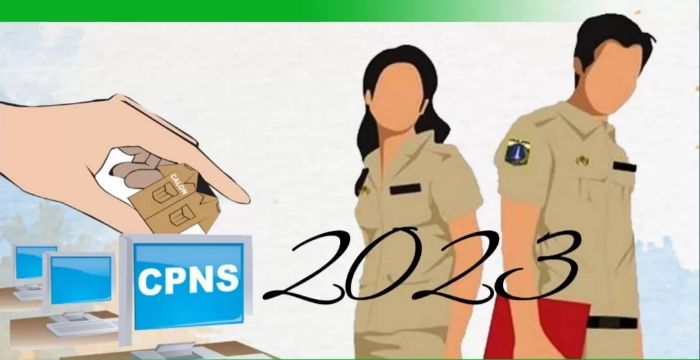 Jadwal Seleksi PPPK 2023 dan Formasi PPPK Guru, PPPK Tenaga Kesehatan dan PPPK Teknis Tiap Pemda