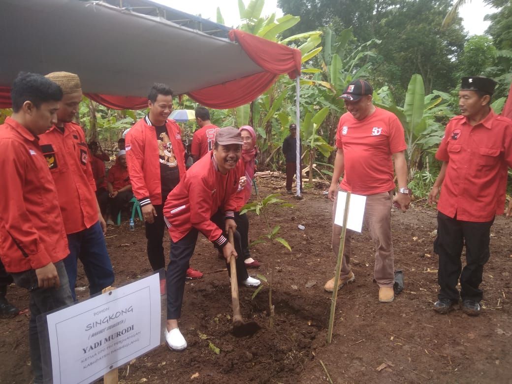 Kader PDI Perjuangan Pandeglang melakukan gerakan penghijauan penanaman pohon di Kabupaten Pandeglang, Sabtu 28 Januari 2023.