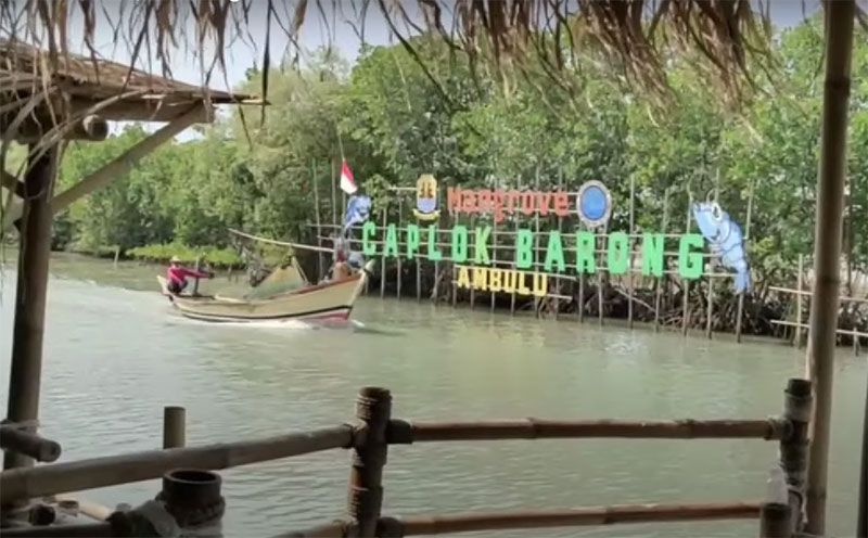 Desa Ambulu Losari Cirebon Jawa Barat dengan wisata mangrove Caplok Barong.*