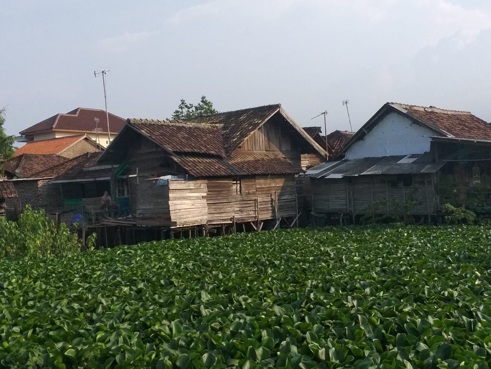 Potret kawasan kumuh di Kecamatan Kasemen, sebagai salah satu faktor penyebab tingginya angka stunting di Kota Serang.