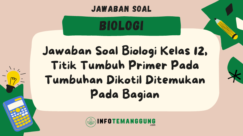 Jawaban Soal Biologi Kelas 12, Titik Tumbuh Primer Pada Tumbuhan Dikotil Ditemukan Pada Bagian