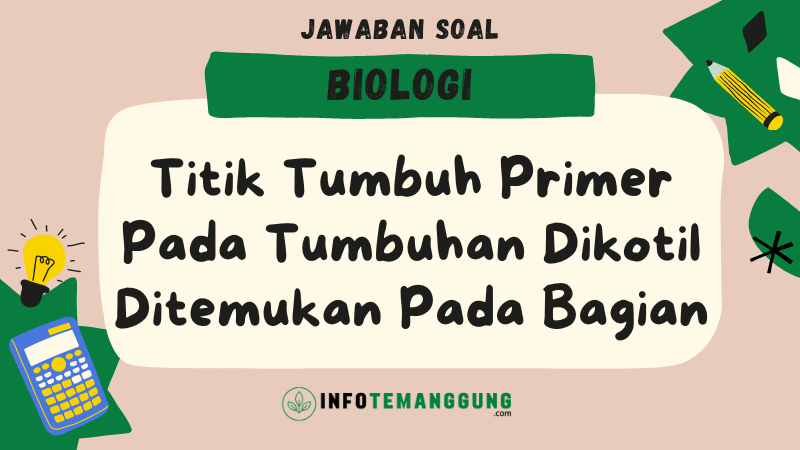 Jawaban Soal Biologi Kelas 12, Titik Tumbuh Primer Pada Tumbuhan ...