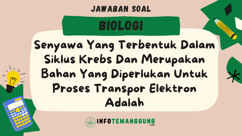Senyawa Yang Terbentuk Dalam Siklus Krebs Dan Merupakan Bahan Yang Diperlukan Untuk Proses Transpor Elektron Adalah