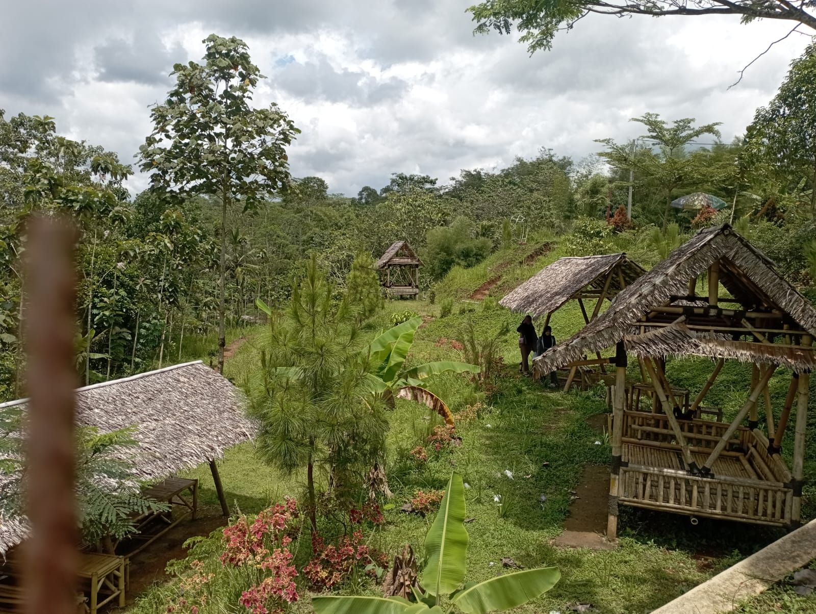 Kebon di tatar Sunda. Di urang mah usum hujan teh sok dipatalikeun jeung usum suung (supa).Lamun datang hujan, terus rabeng siraru, totondén bakal rěa suung.*