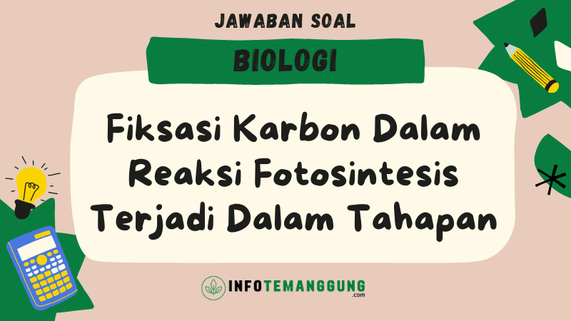 Jawaban Soal Biologi Kelas 12 Fiksasi Karbon Dalam Reaksi Fotosintesis