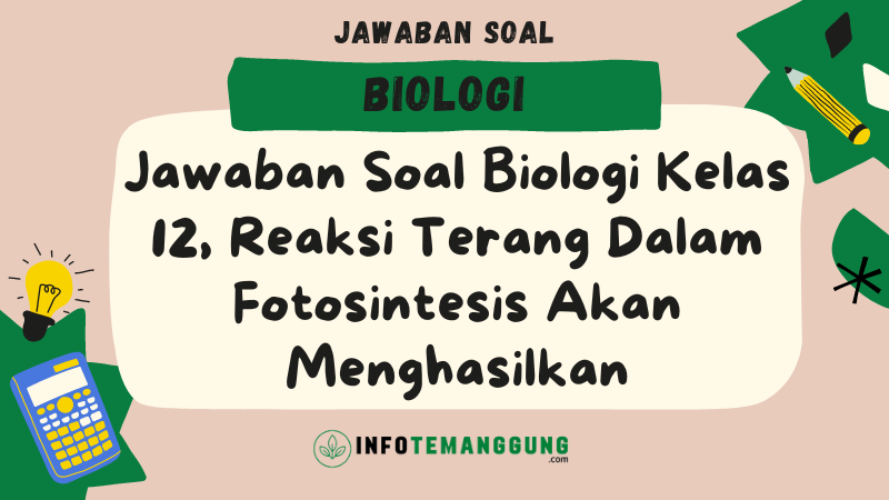 Jawaban Soal Biologi Kelas 12, Reaksi Terang Dalam Fotosintesis Akan ...