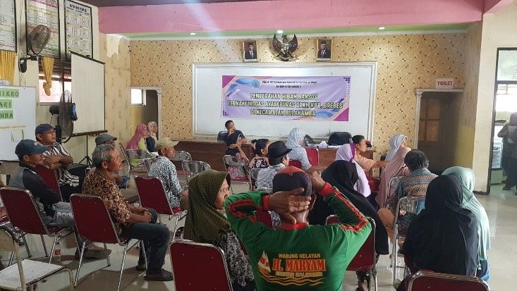 Bantuan Hewan Ternak untuk Masyarakat Kurang Mampu Diberikan oleh DPKH Kabupaten Brebes Demi Cegah Stunting