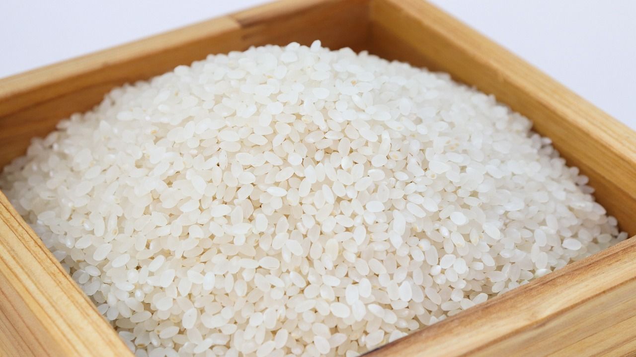 Ilustrasi Indonesia akan impor 2 juta ton beras, anggota DPR RI: pemerintah jangan buru-buru Impor