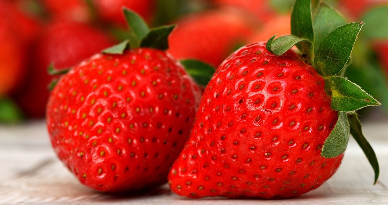 Buah strawberry memiliki sejumlah manfaat yang baik untuk kecantikan dan kesehatan jika rutin dikonsumsi.
