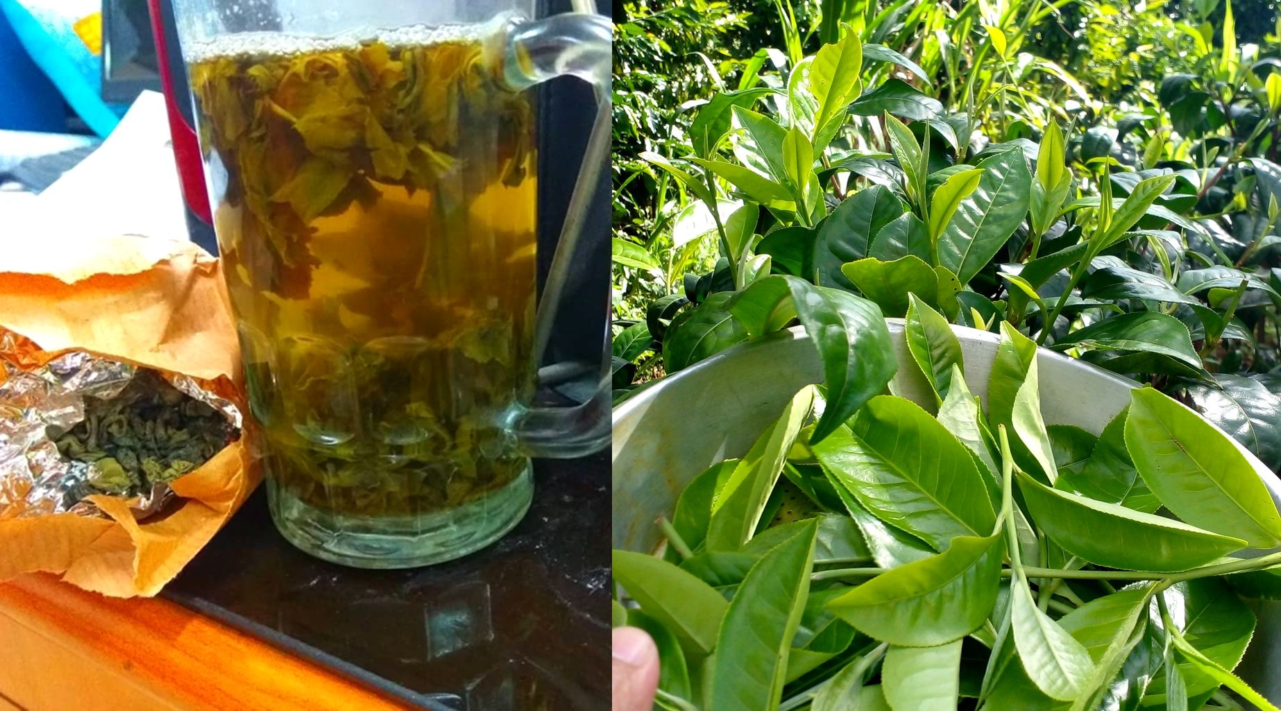 Minuman teh hijau atau green tea konvensional tetapi berkualitas tinggi.