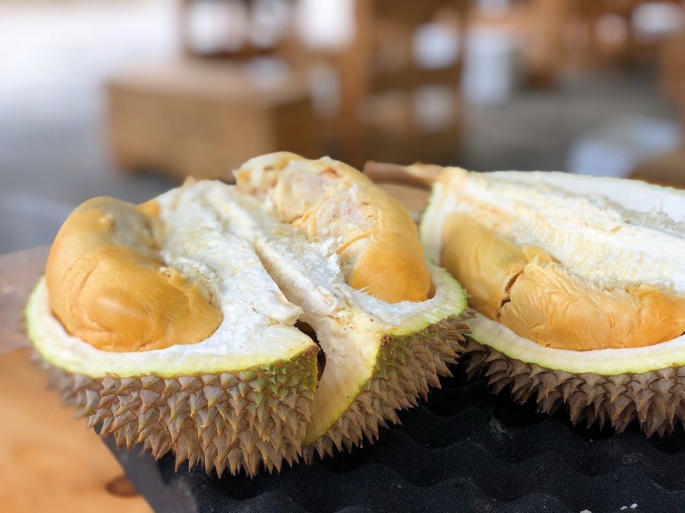 Ilustrasi Durian.
