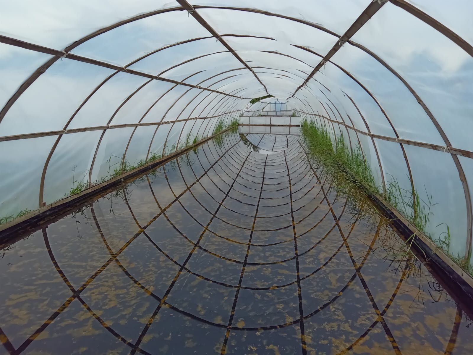 Tempat Produksi Garam di Madasari Kecamatan Cimerak Kabupaten Pangandaran.*