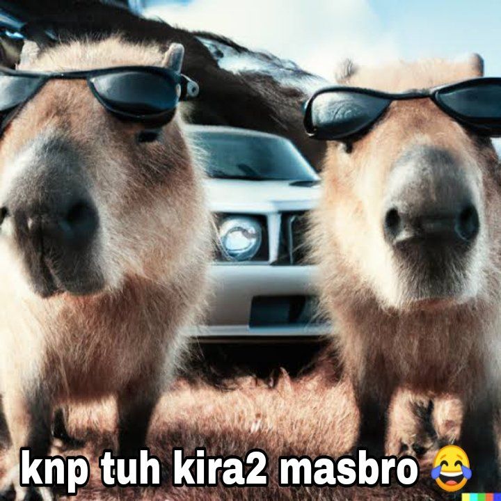 Meme Capybara Masbro