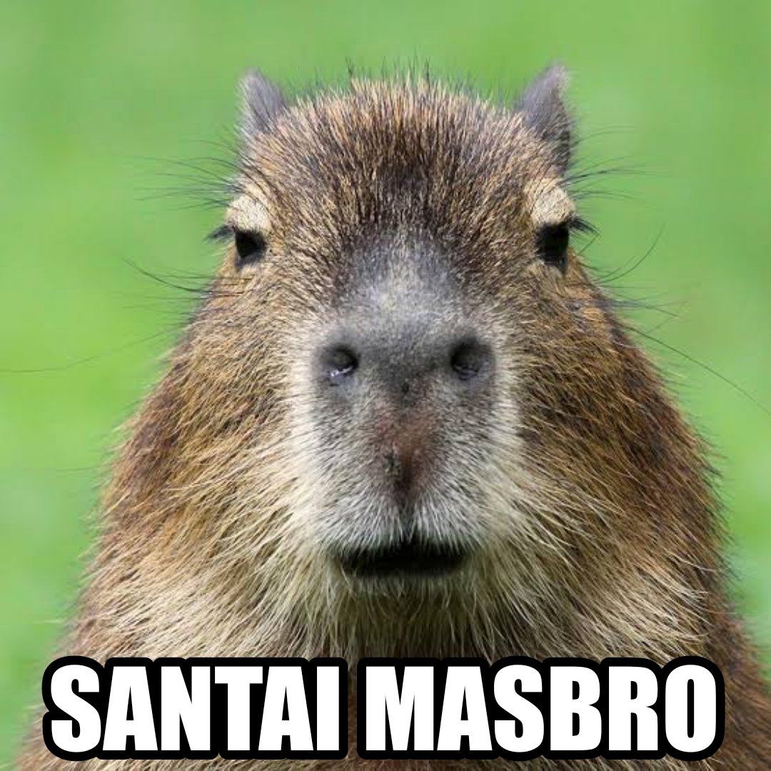Kumpulan foto meme Kapibara Masbro