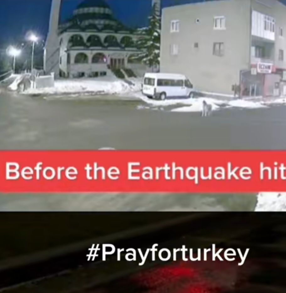 Viral TikTok, Anjing Melolong sesaat sebelum gempa Turki Melanda, Apakah jadi pertanda.*