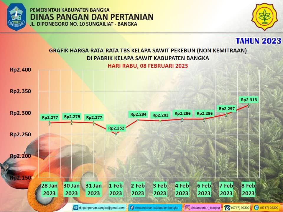 Grafik Rata-rata Harga Kelapa Sawit bulan Februari 2023