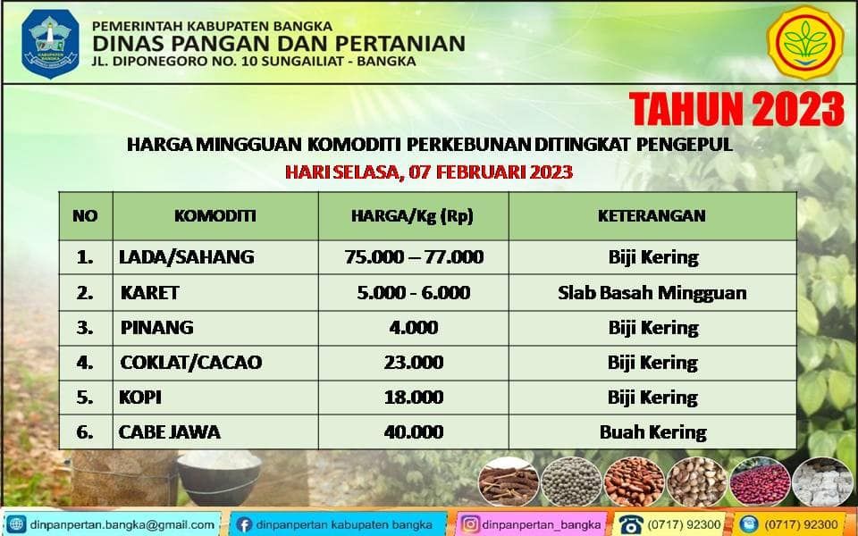 Harga Karet Terupdate Bangka Belitung 7-8 Februari 2023 di Kabupaten Bangka